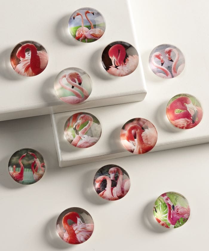 4 cm Round Magnets Flamingo Designs