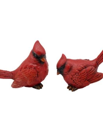 Cardinal Birds Pair