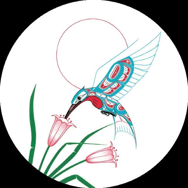 "Green Heron & Serenity Hummingbird" 7.5 inch Indigenous Collection Signature Plates Box Set