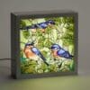 6"x6"x2" Bluebird Floral LED Light Box