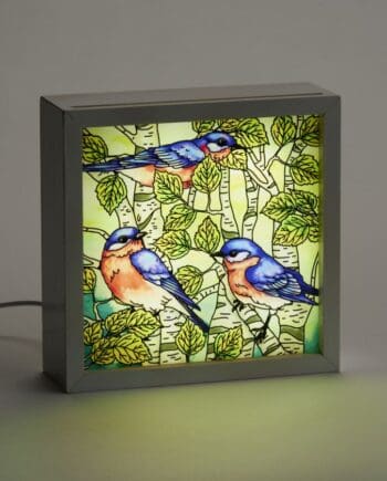 6"x6"x2" Bluebird Floral LED Light Box