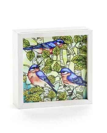 6"x6"x2" Bluebird Floral LED Light Box