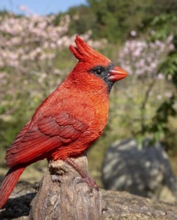 6.7" Cardinal Motion Activated Singing Figurine