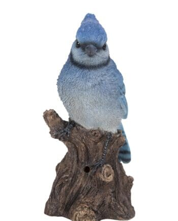 6.5" Motion Activated Singing Blue Jay on a Stump