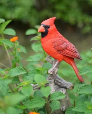 8.25" Cardinal on a Stump