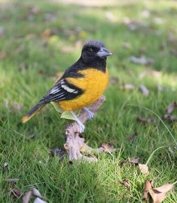 7" Oriole On a Branch Figurine