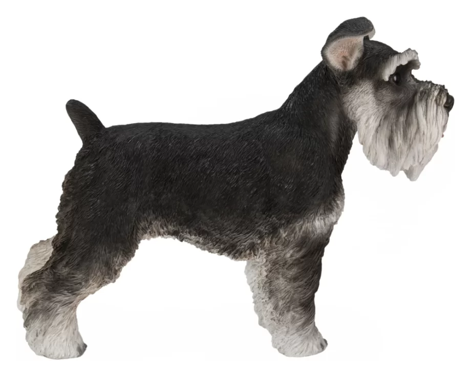 13" Grey Miniature Schnauzer Standing Figurine