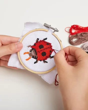 "Ladybug" Mini Cross Stitch Embroidery Kit