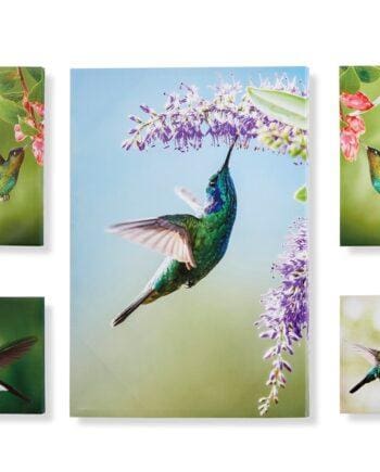 Green Hummingbird Design Canvas Wall Prints Set