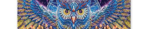 00 owl Diamond art kit design