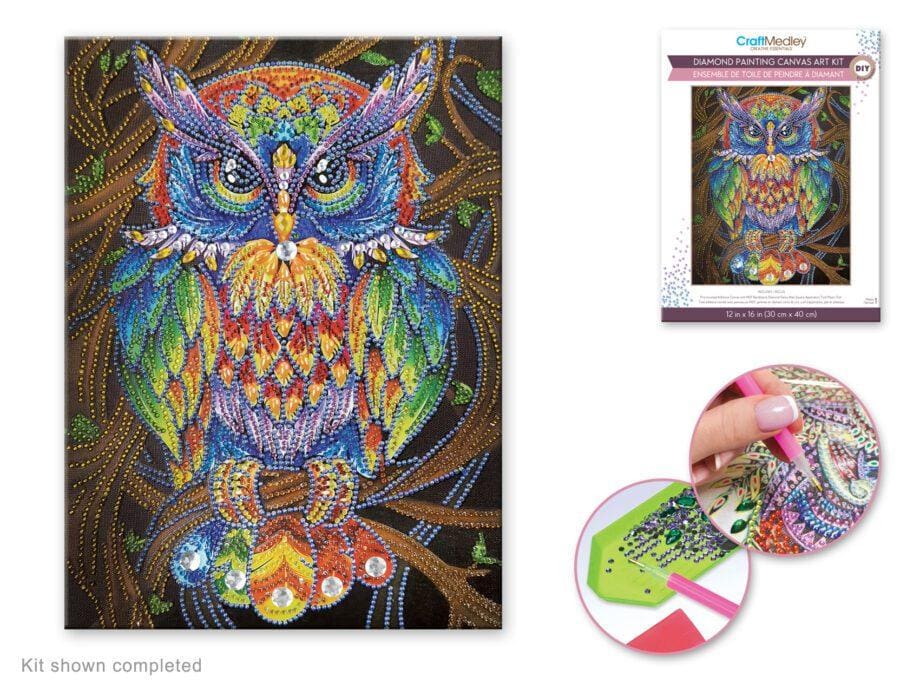 12"x 16" Owl Diamond Art Kit by Craft Medley