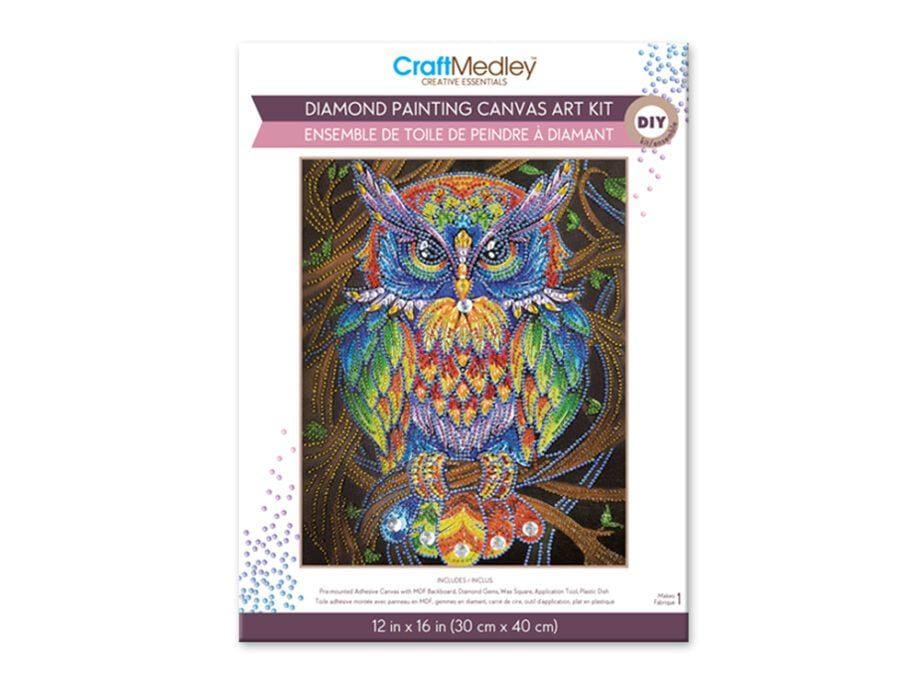 12"x 16" Owl Diamond Art Kit by Craft Medley