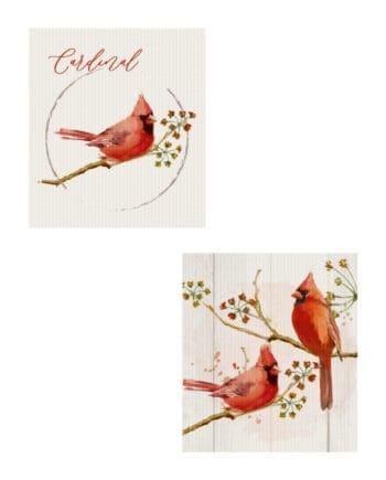 7.6" x 6.7" Cardinal Reusable Dishcloths Set of 2